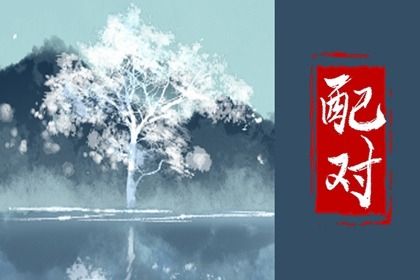 理想型与择偶范围